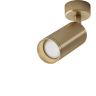 Потолочный светильник MAYTONI FOCUS C017CW-01MG